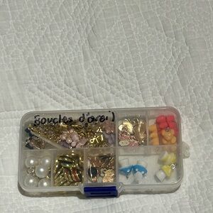 Assorted Earring Set in Organizer